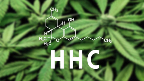 Le HHC en Belgique : Les dernières évolutions de la légalisation du cannabis de synthèse