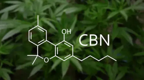 CBN: Comprendre les différences, les effets et les utilisations pour les débutants