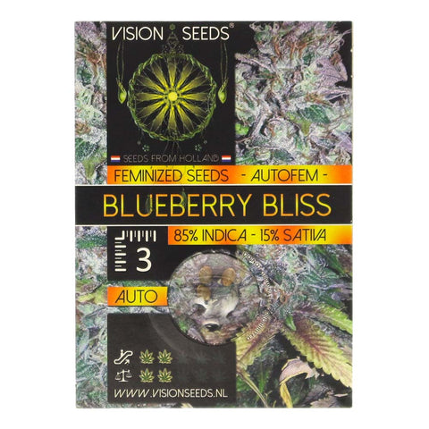Graine de Collection – Blueberry Bliss