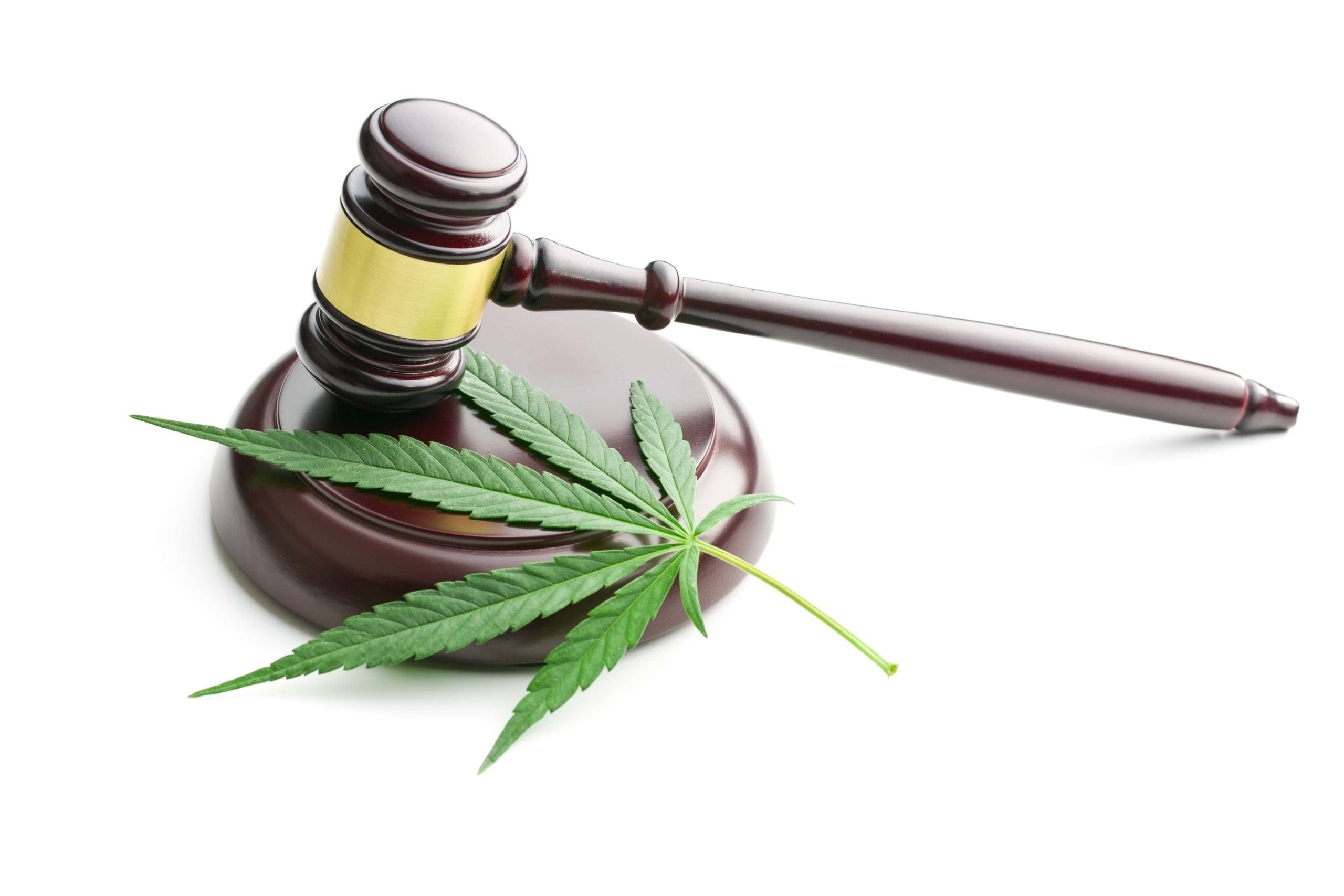 Légalisation CBD