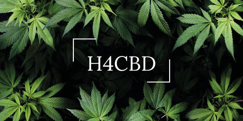 Comprendre le H4CBD : tout ce que vous devez savoir sur ce cannabinoïde semi-synthétique.