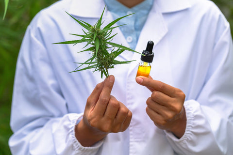 Tout ce que vous devez savoir sur le Cannabidiol (CBD)