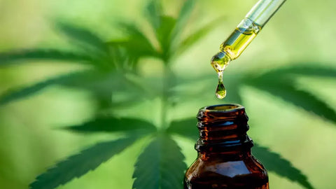 Tout ce que vous devez savoir sur l'huile de CBD : bienfaits, effets secondaires et plus encore !