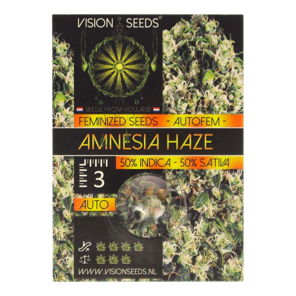 Feeling Light Graine de Collection – Amnesia Haze