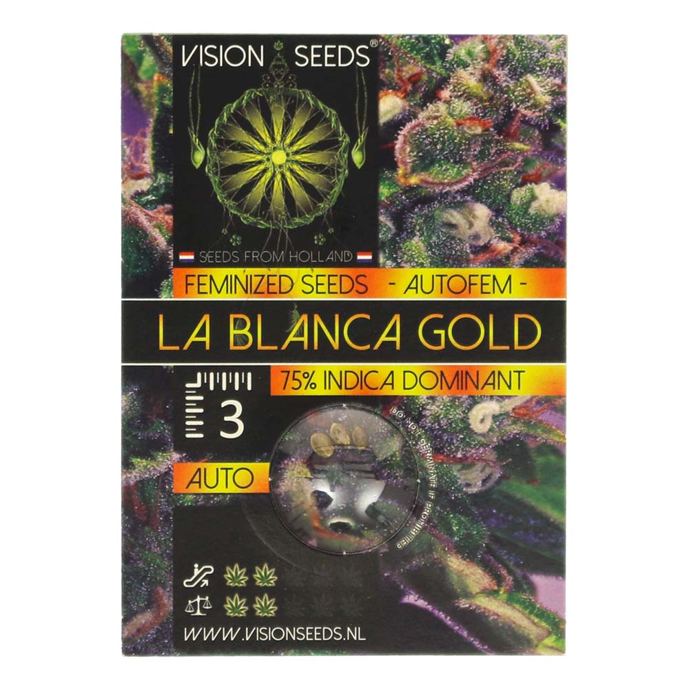 Feeling Light Graine de Collection – La Blanca Gold