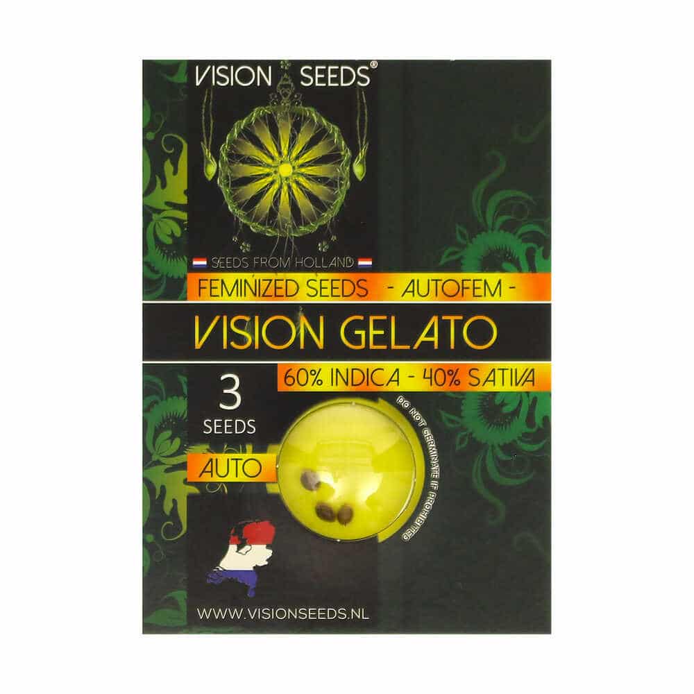 Feeling Light Graine de Collection – Vision Gelato