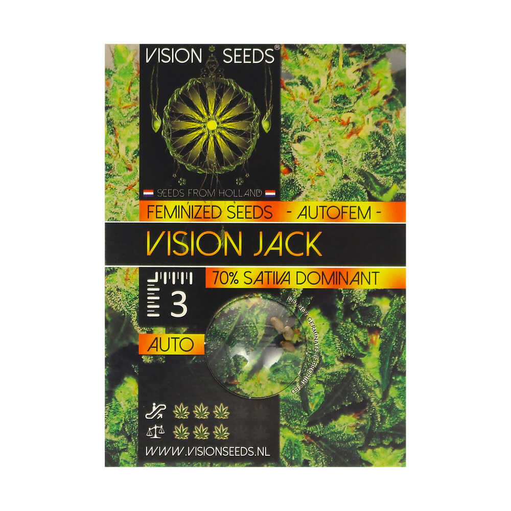 Feeling Light Graine de Collection – Vision Jack