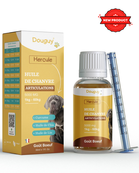 Huile de CBD chien et chat 5% - Goût Bœuf - 30ml