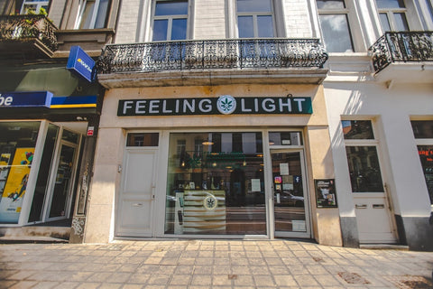 Feeling Light Ma Campagne